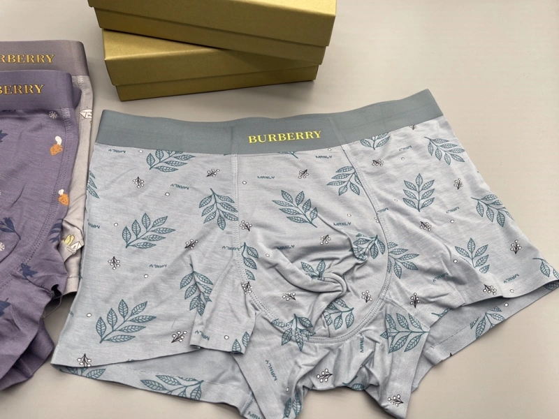 Original Burberry Underwear 276522