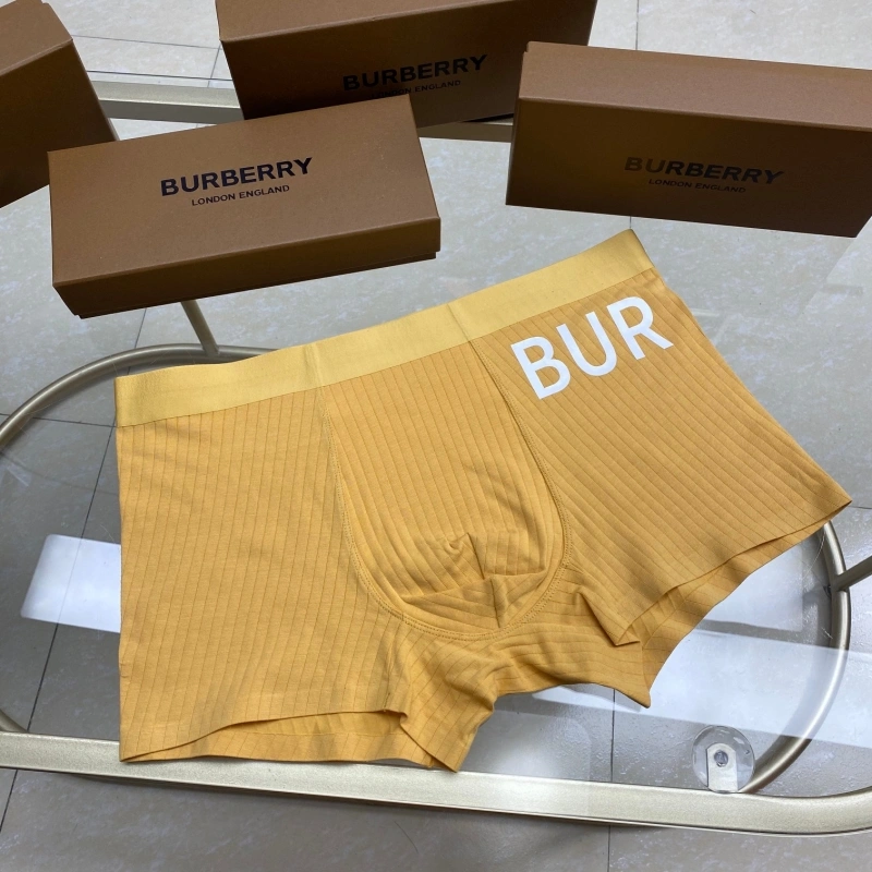 Burberry Underwear WeatherProof 276510
