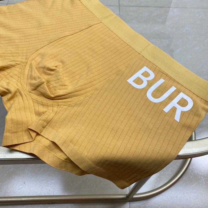 Burberry Underwear WeatherProof 276510