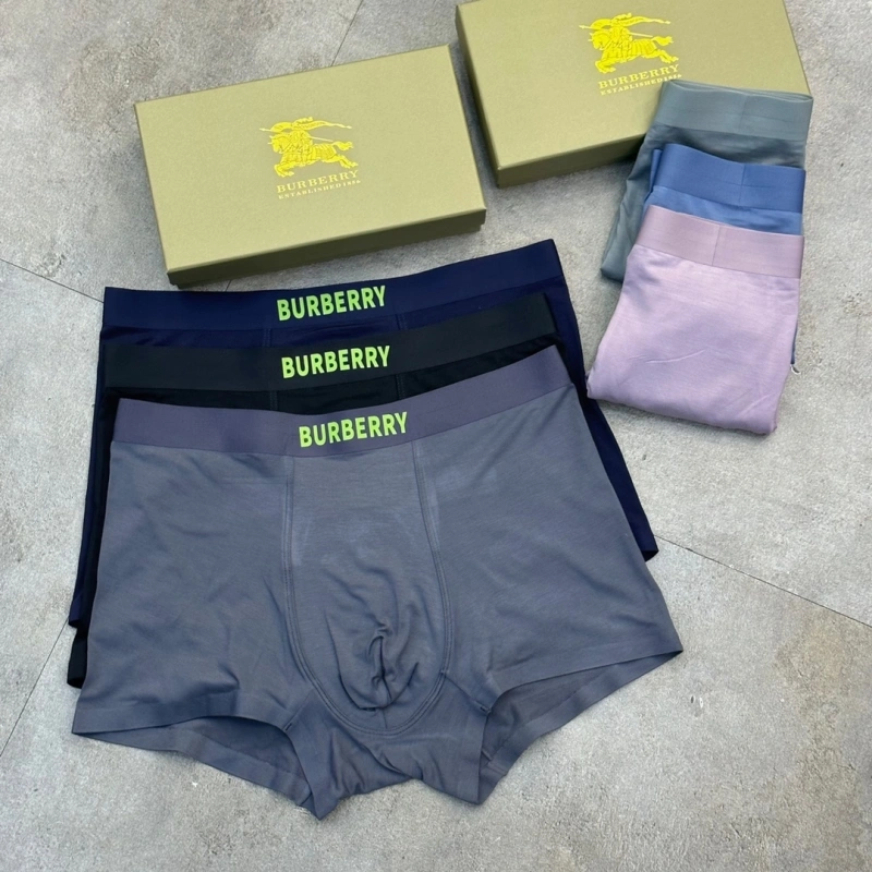 Burberry Underwear Comfortable 276506