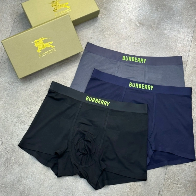 Burberry Underwear Comfortable 276506