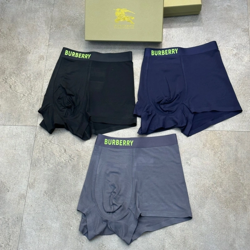 Burberry Underwear Comfortable 276506