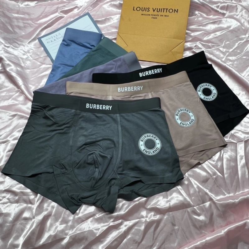 Timeless Burberry Underwear 276499