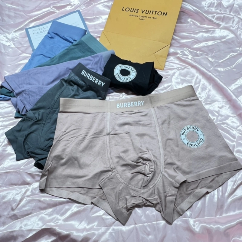 Timeless Burberry Underwear 276499