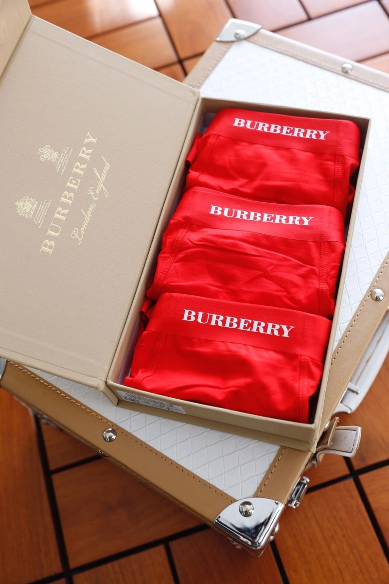 Tailored Burberry Underwear 276497