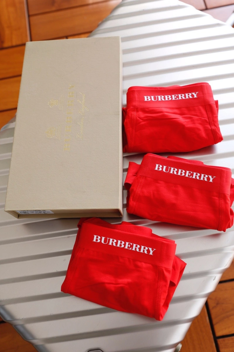 Tailored Burberry Underwear 276497