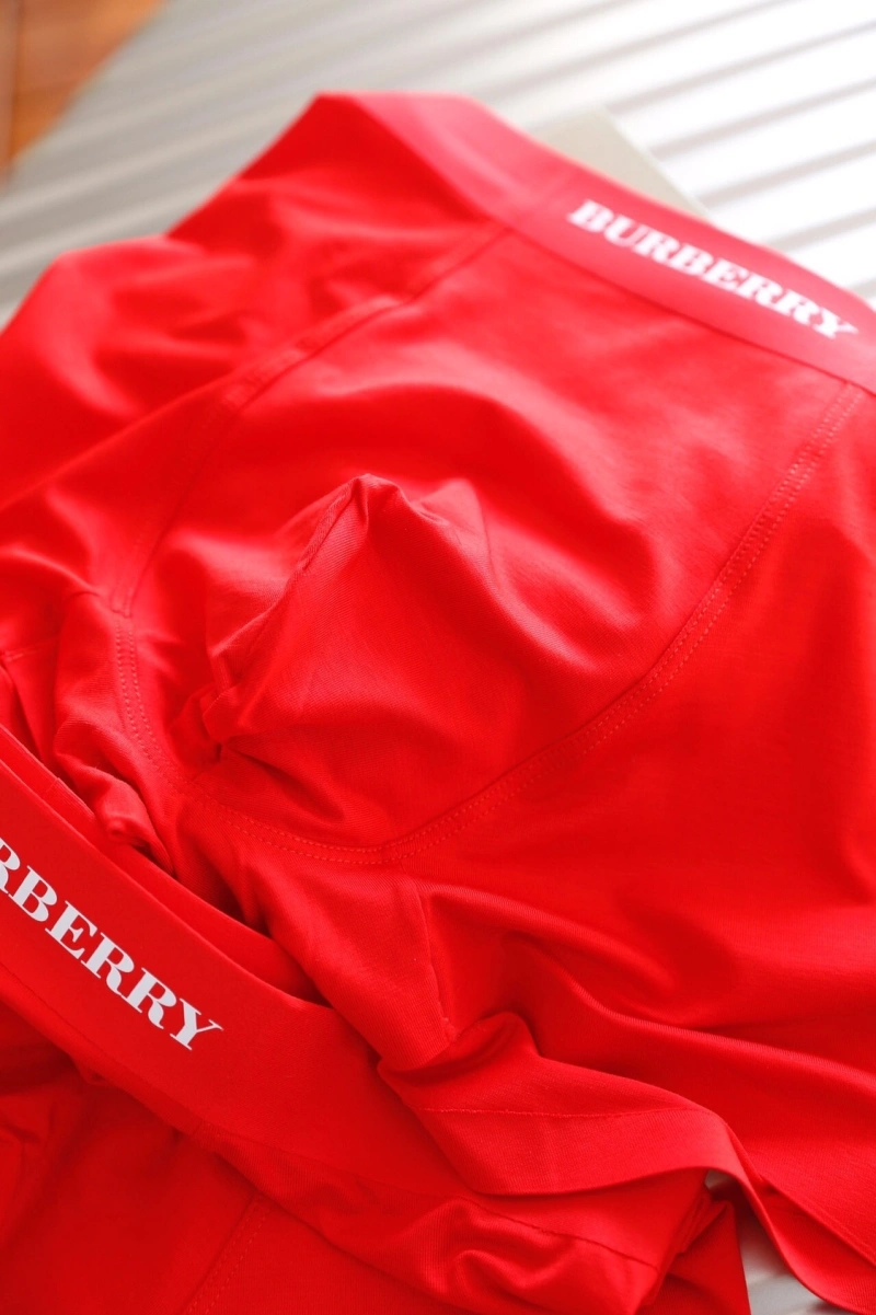 Tailored Burberry Underwear 276497