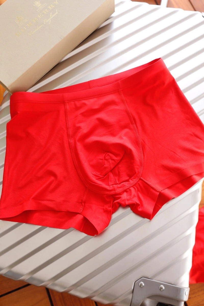Tailored Burberry Underwear 276497