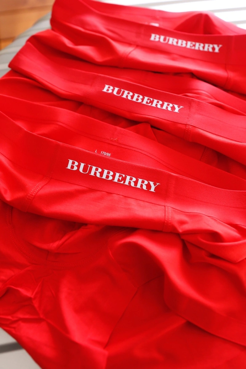 Tailored Burberry Underwear 276497