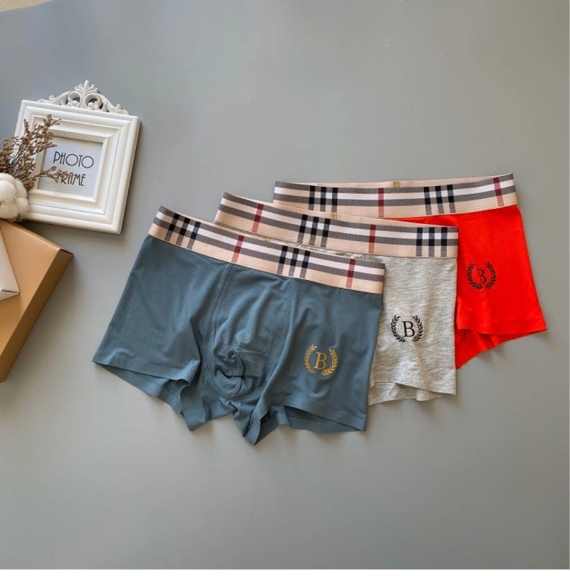 ZeroBulk Burberry Underwear 276496
