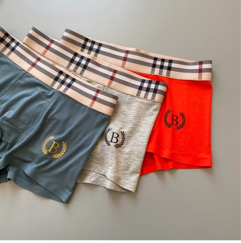 ZeroBulk Burberry Underwear 276496