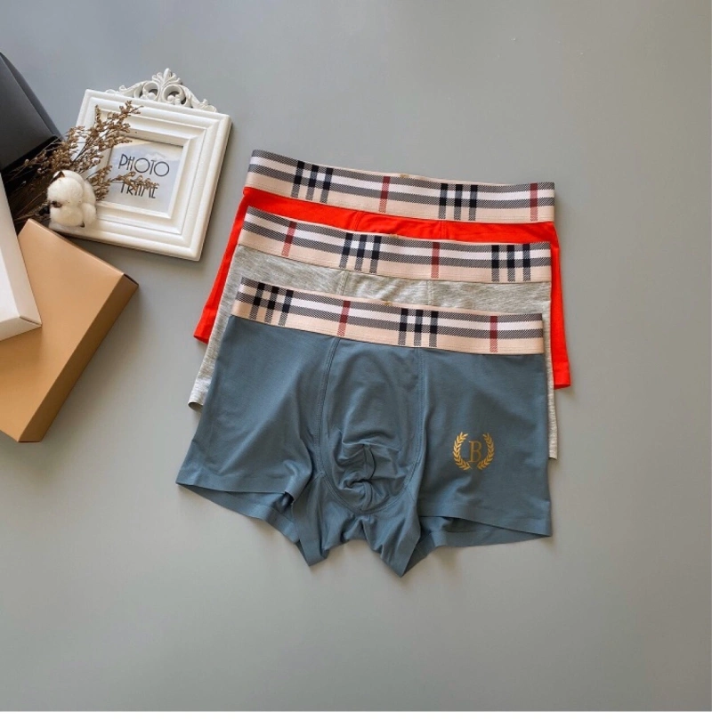 ZeroBulk Burberry Underwear 276496