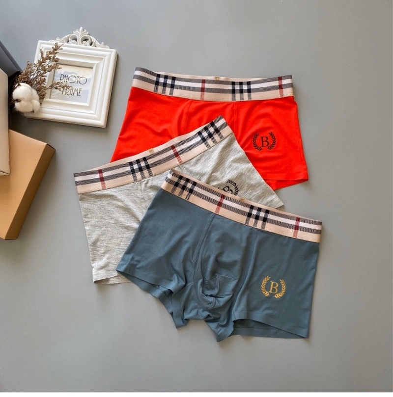 ZeroBulk Burberry Underwear 276496