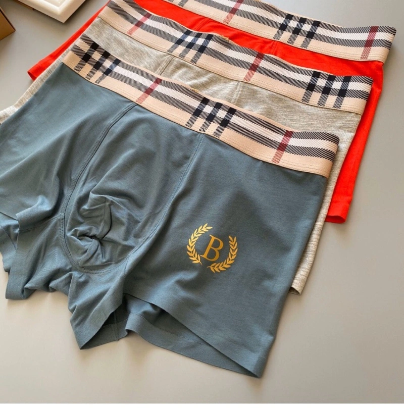 ZeroBulk Burberry Underwear 276496