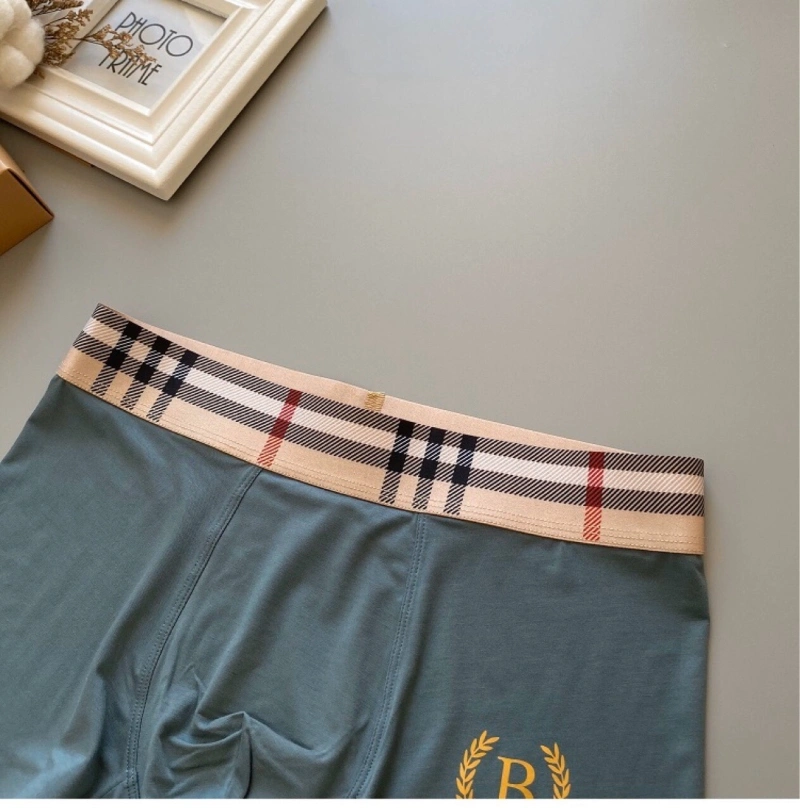 ZeroBulk Burberry Underwear 276496