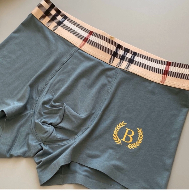 ZeroBulk Burberry Underwear 276496