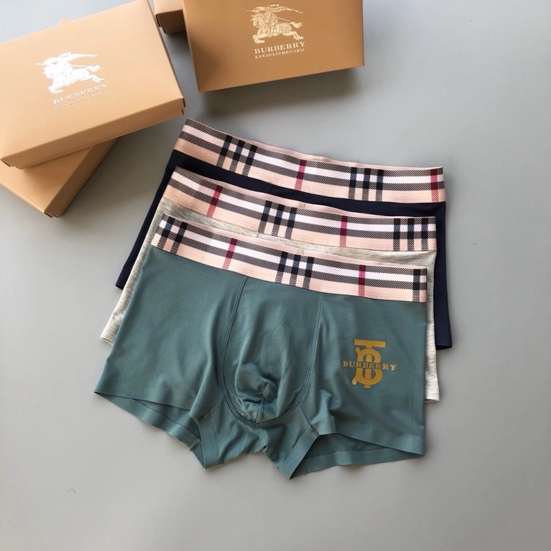 Trendsetting Burberry Underwear 276495
