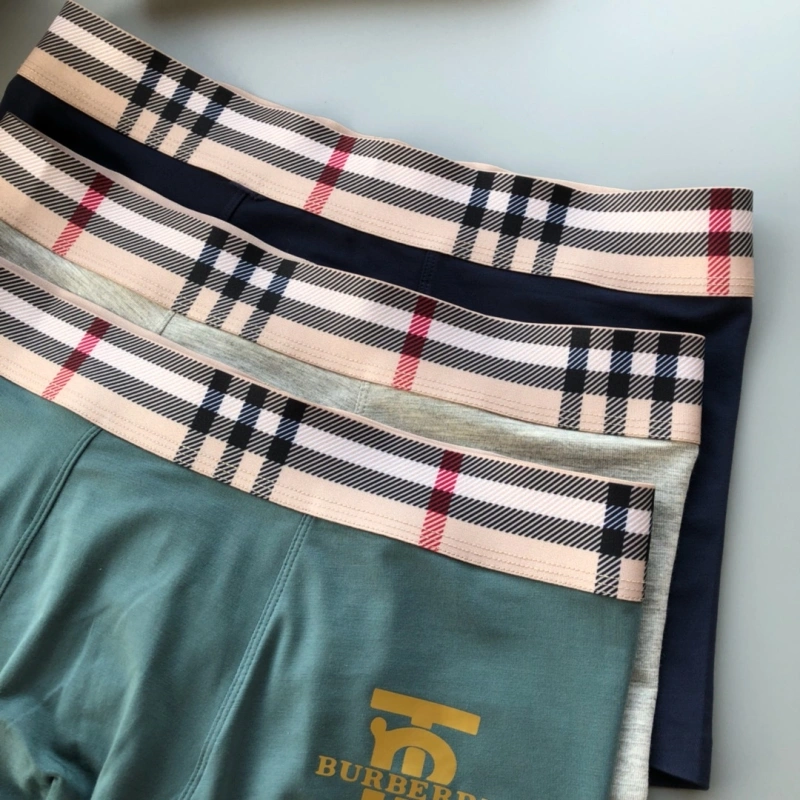 Trendsetting Burberry Underwear 276495