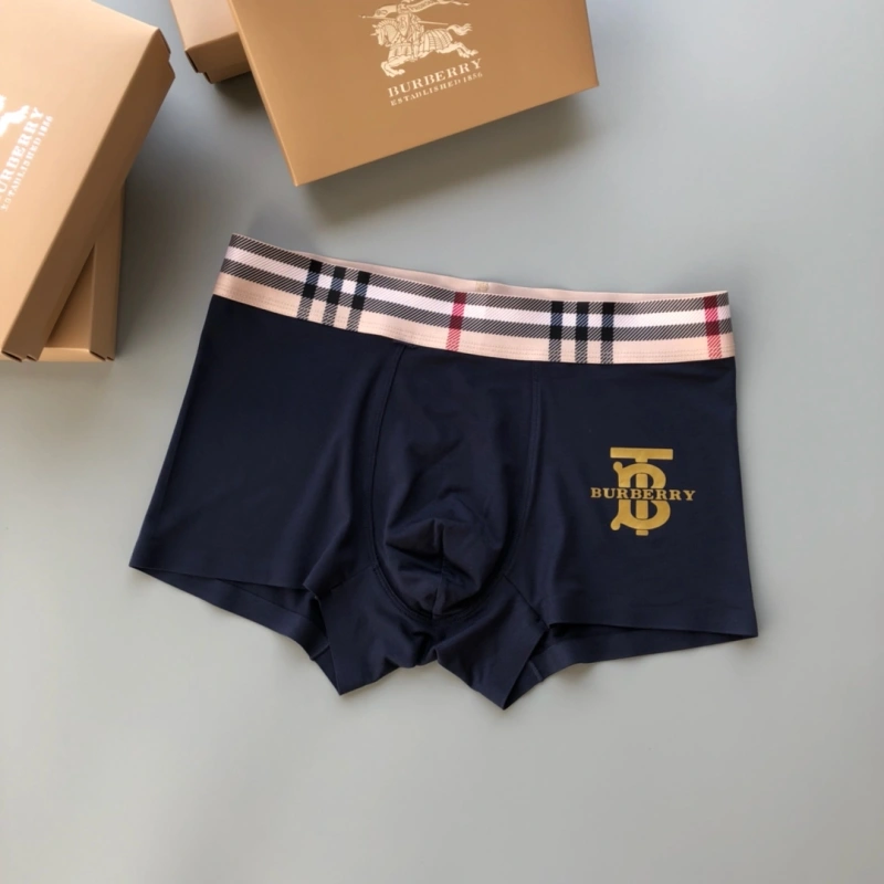 Trendsetting Burberry Underwear 276495