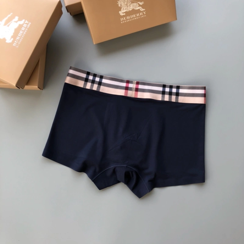 Trendsetting Burberry Underwear 276495
