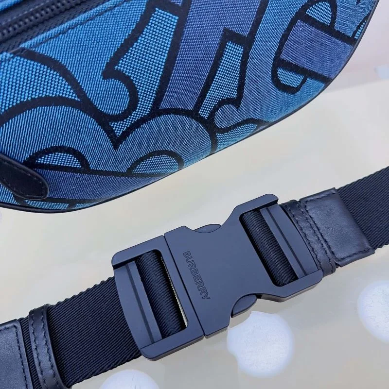 Sophisticated Burberry Waist Chest Packs 37821
