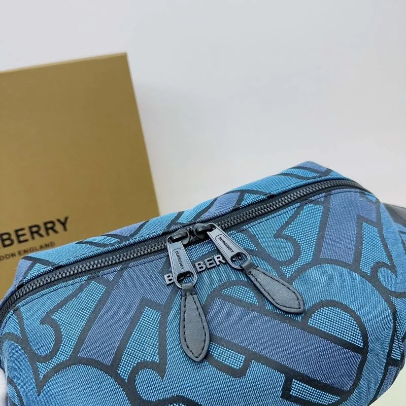 Sophisticated Burberry Waist Chest Packs 37821