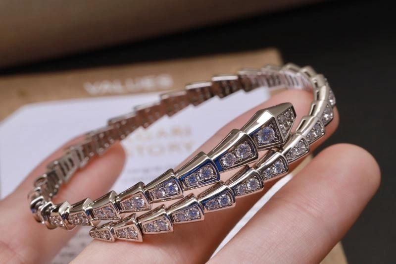Bvlgari Bracelets Seasonal 216863