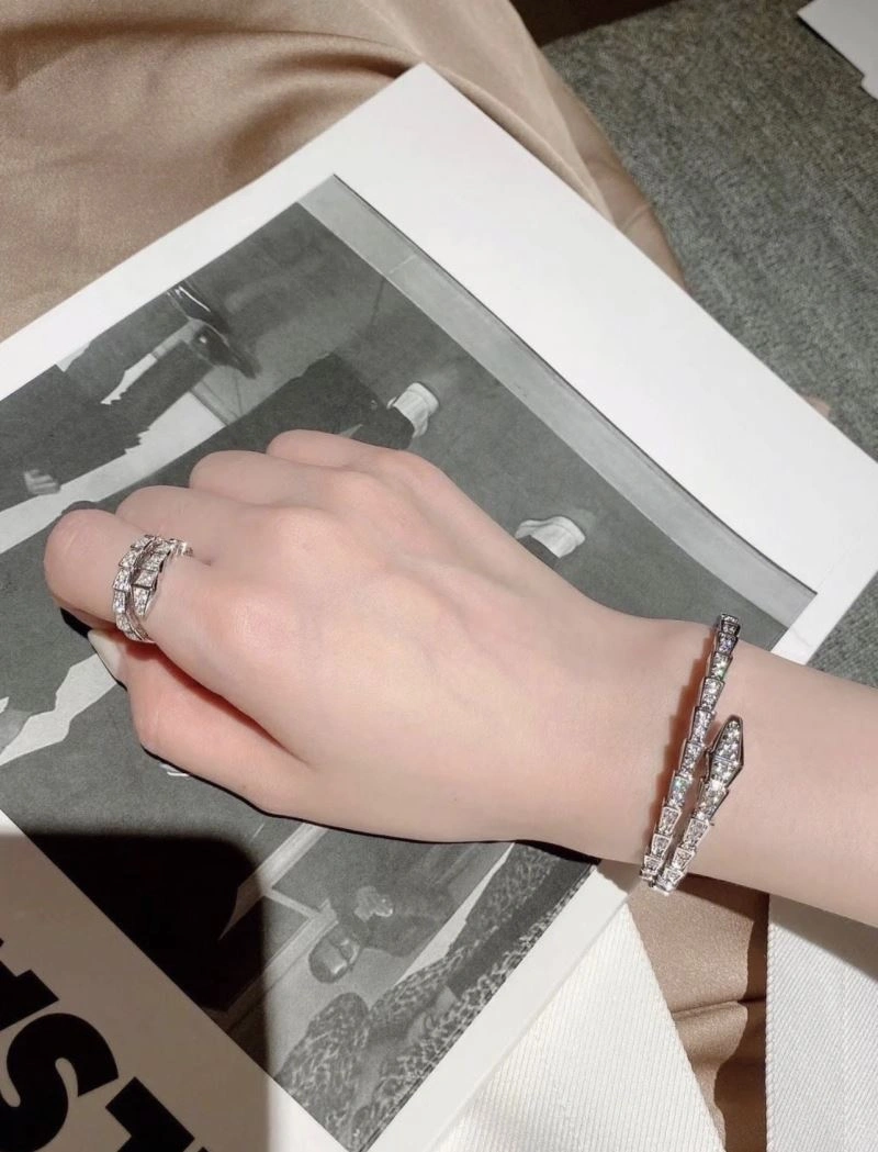 Bvlgari Bracelets Seasonal 216863