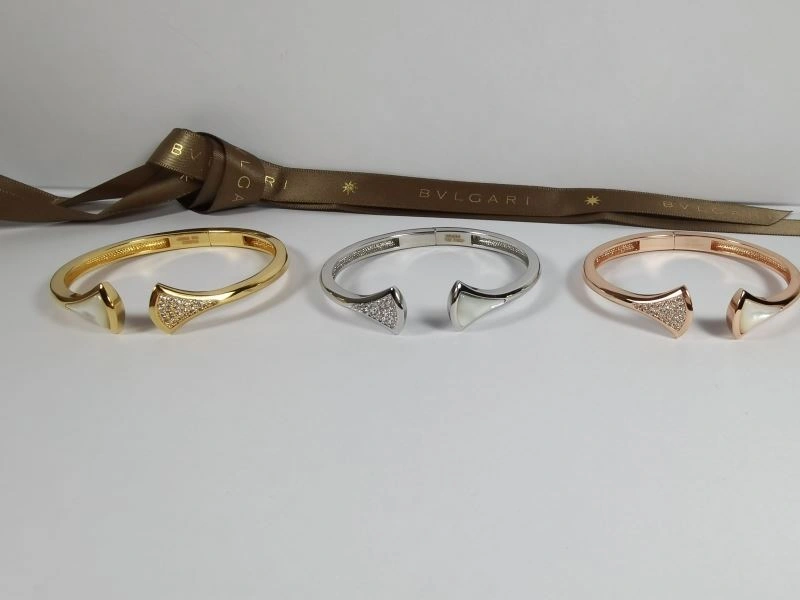 Bvlgari Bracelets EasyCare 216894