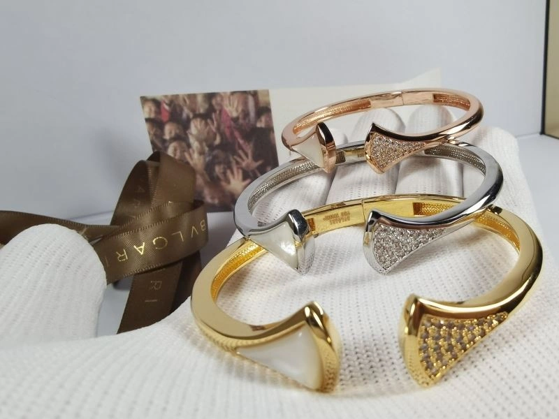 Bvlgari Bracelets EasyCare 216894