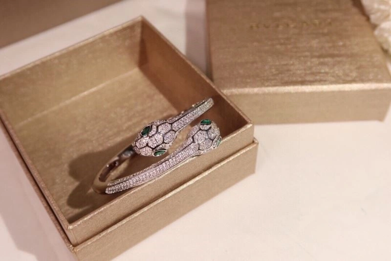 Bvlgari Bracelets FreshLook 216465
