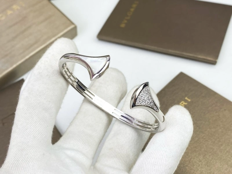 GoAnywhere Bvlgari Bracelets 215915
