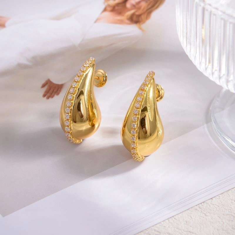 Bvlgari Earrings DailyWear 216816