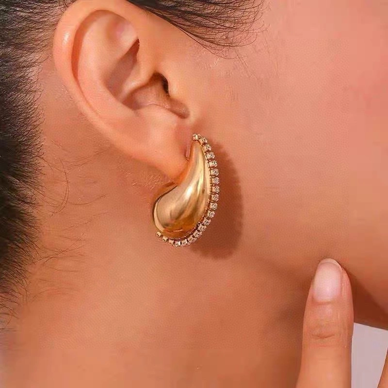 Bvlgari Earrings DailyWear 216816