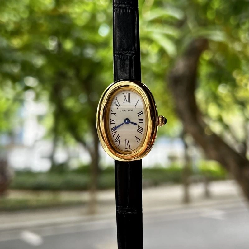CARTIER Watches SmoothTexture 179818