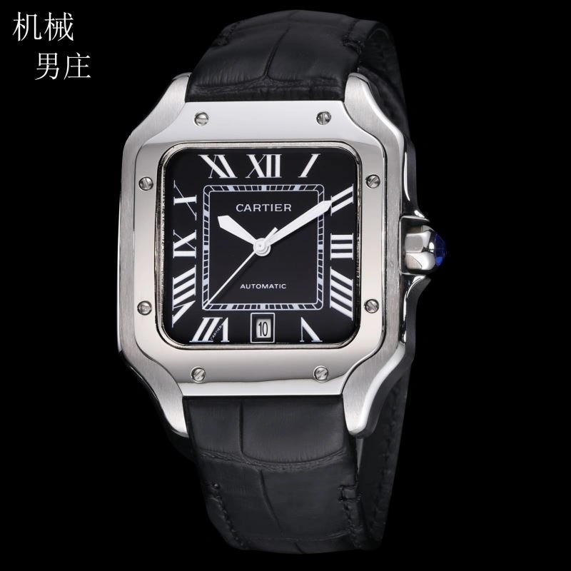 RelaxedFit CARTIER Watches 178457