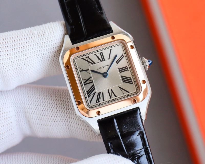 FastDry CARTIER Watches 178784