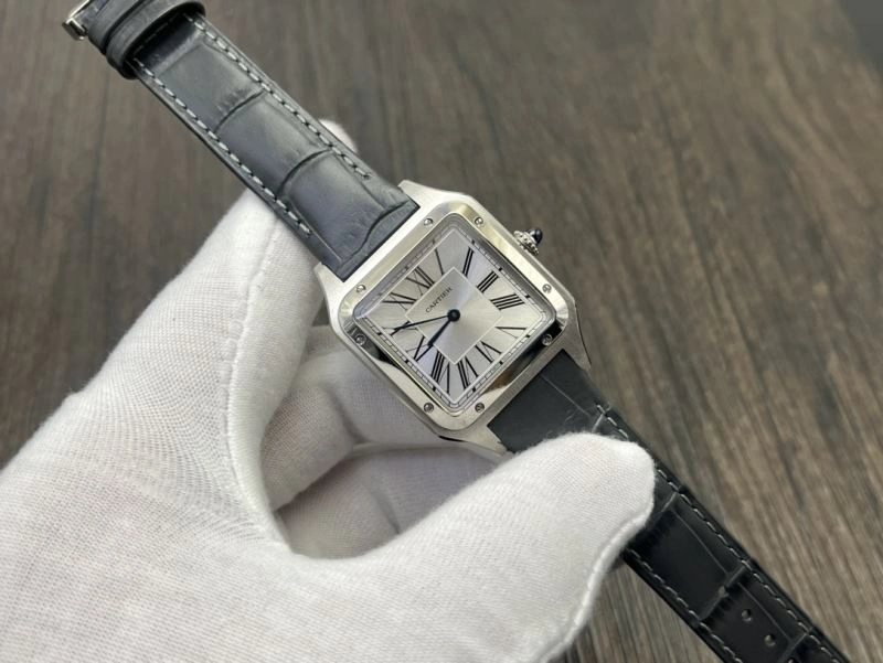 SoftTouch CARTIER Watches 178657