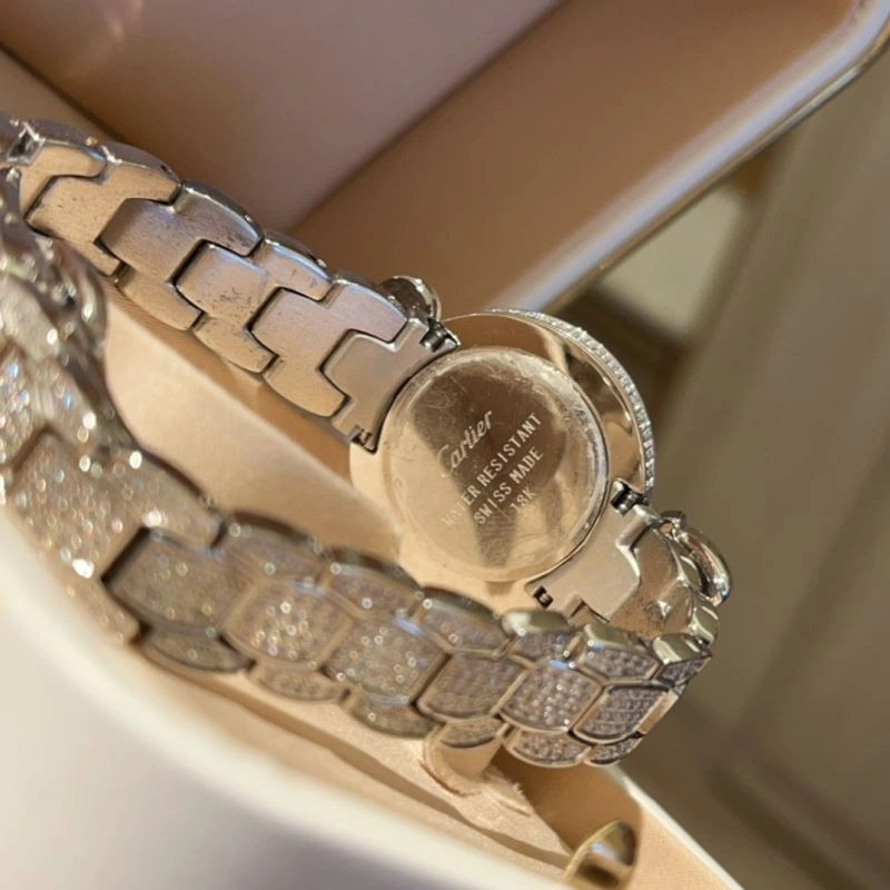 CARTIER Watches FastDry 178651