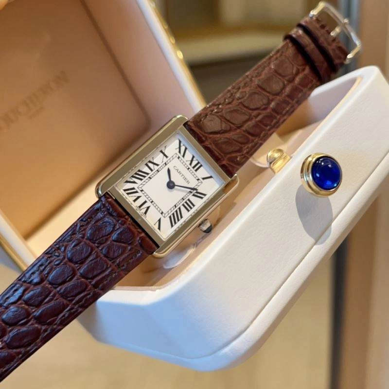 Sleek CARTIER Watches 178625