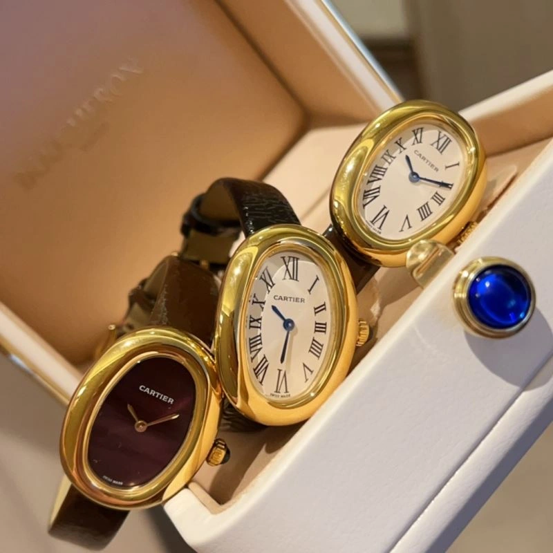CARTIER Watches GoAnywhere 178604