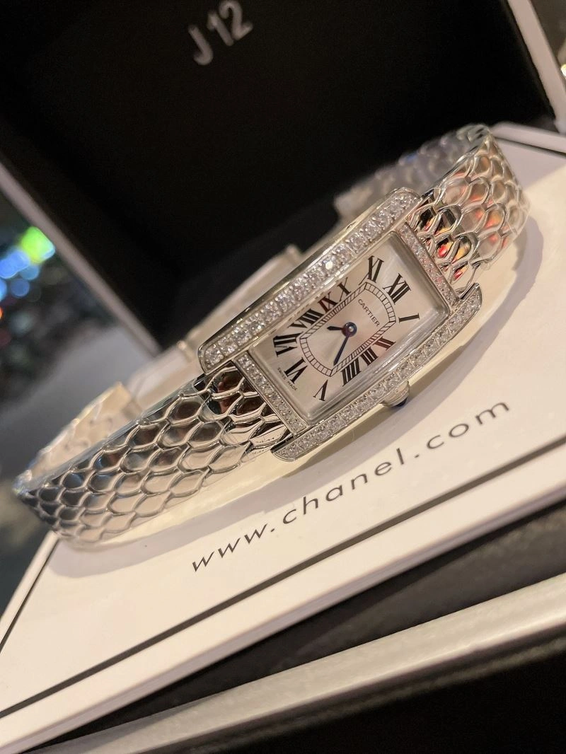 FlexibleFit CARTIER Watches 178561