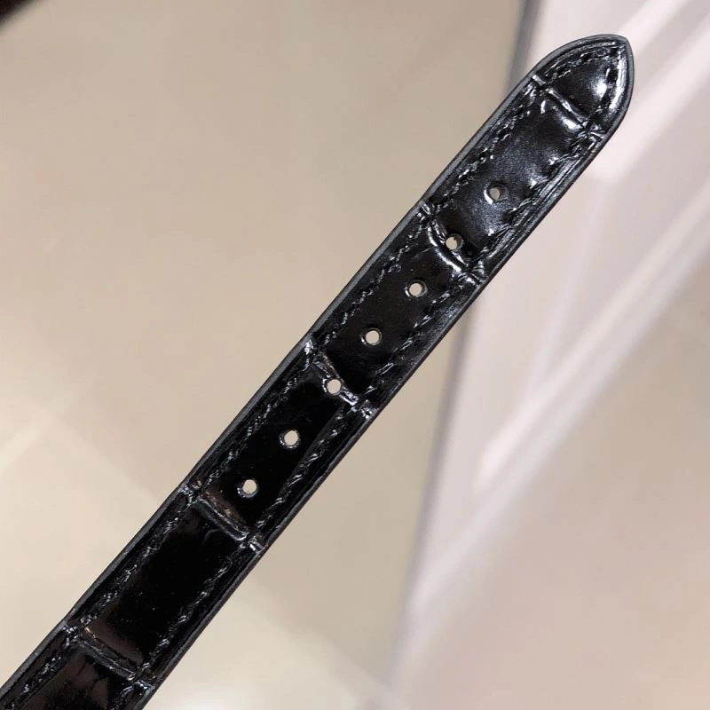 GoAnywhere CHOPARD Watches 181966