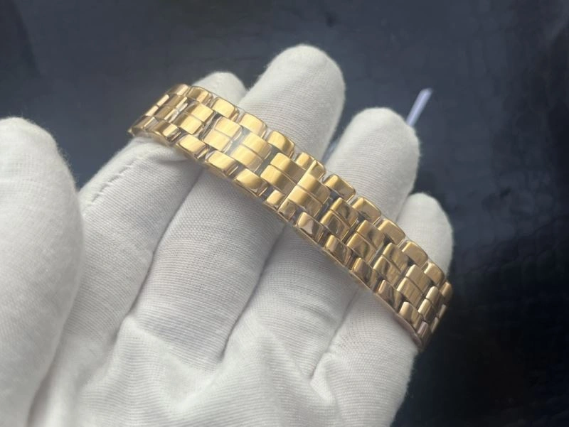 GoAnywhere CHOPARD Watches 181756