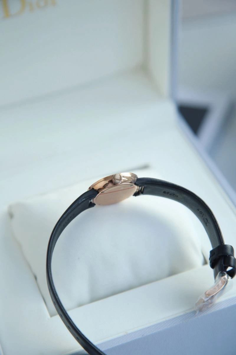 CHRISTIAN DIOR Watches Contemporary 182087