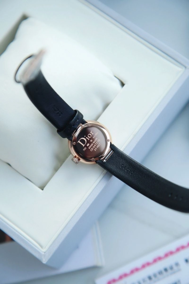 CHRISTIAN DIOR Watches Contemporary 182087