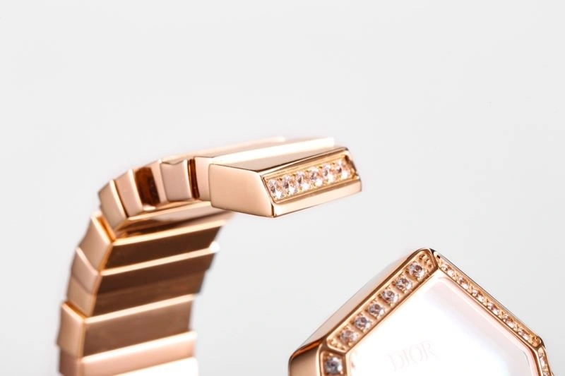 CHRISTIAN DIOR Watches FlexibleFit 182063