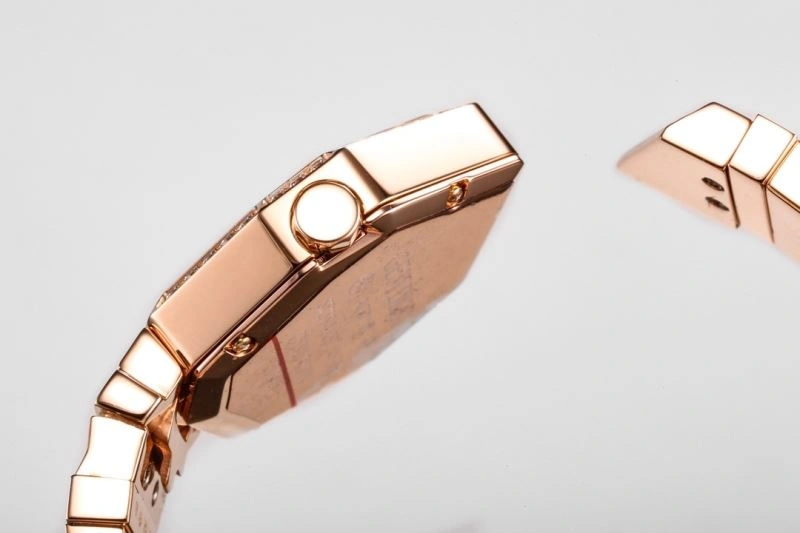 CHRISTIAN DIOR Watches FlexibleFit 182063