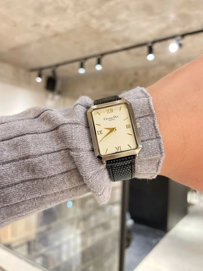 FastDry CHRISTIAN DIOR Watches 182042