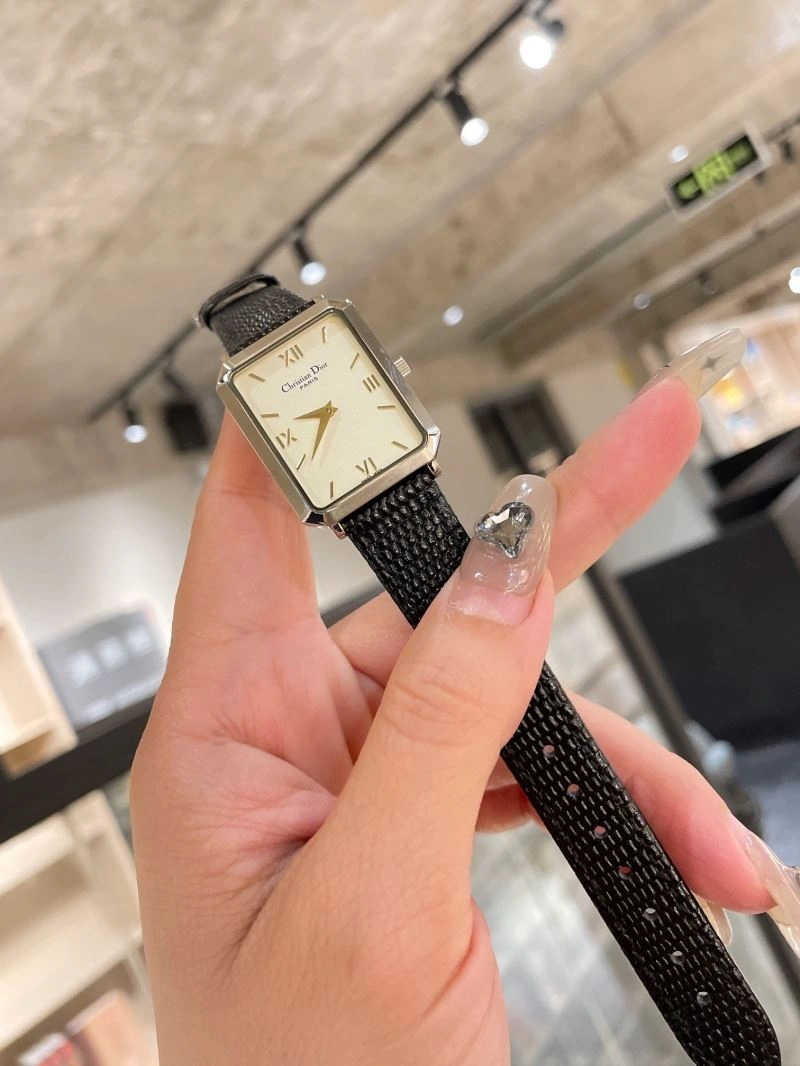 FastDry CHRISTIAN DIOR Watches 182042